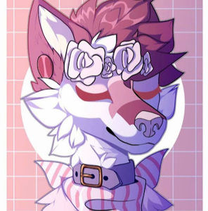 Meet your Posher, Luka